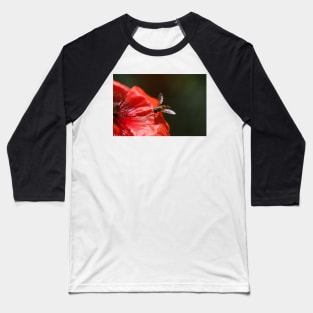 Hoverfly on the Poppy Baseball T-Shirt